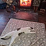Gingles is registered to the contest to win money with this photo: animal, cat, comfort, cozy, domestic, feline, fireplace, heart_pattern, home, indoor, laid_back, mammal, peaceful, pet, relaxing, resting, rug, sleeping, warm_light, wood_floor