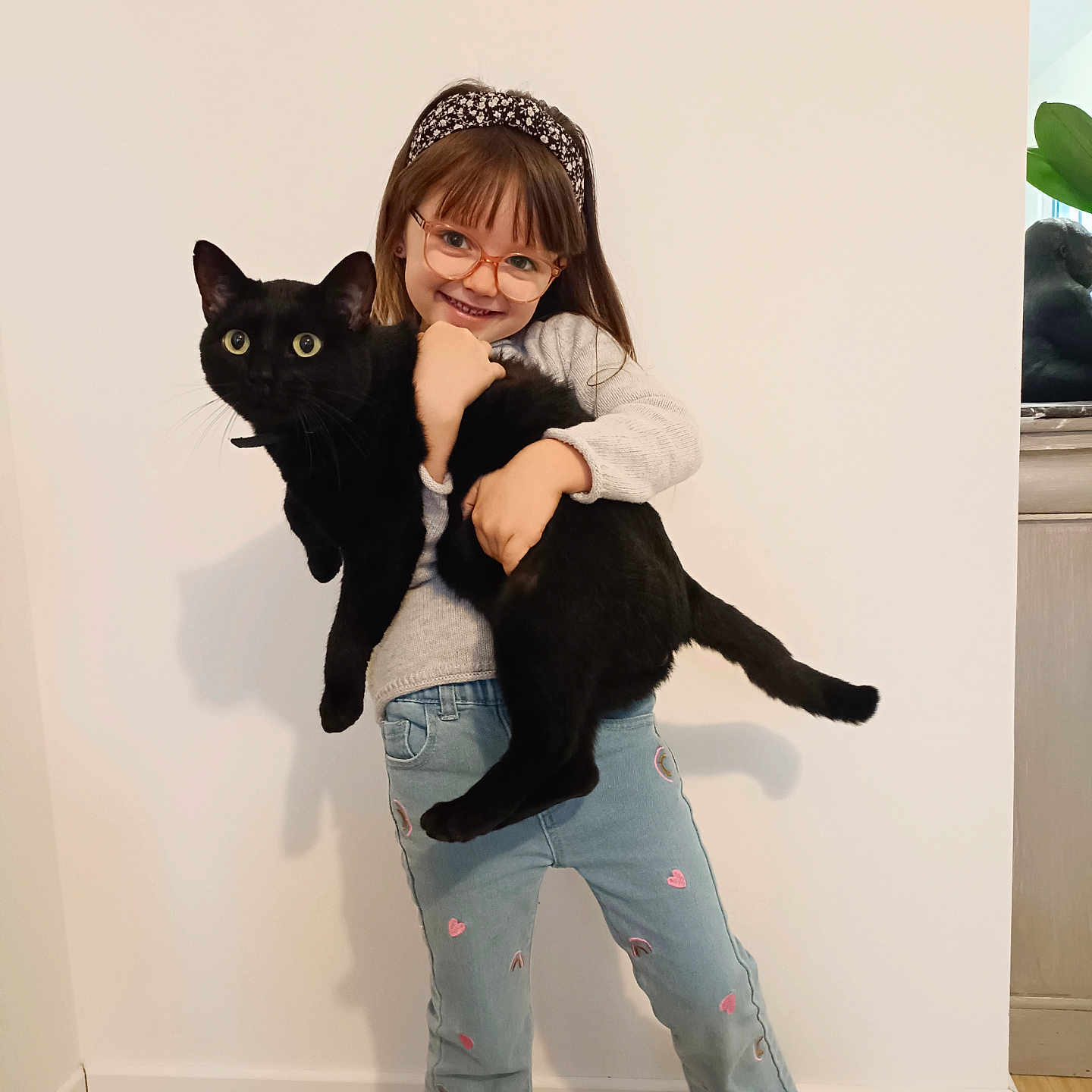Ron a rejoint le concours — aidez-le/la à gagner de superbes lots ! accessories, animal, blackcat, cat, child, clothing, face, female, footwear, girl, happy, hardwood, head, jeans, pants, person, pet, shoe, smile, wood