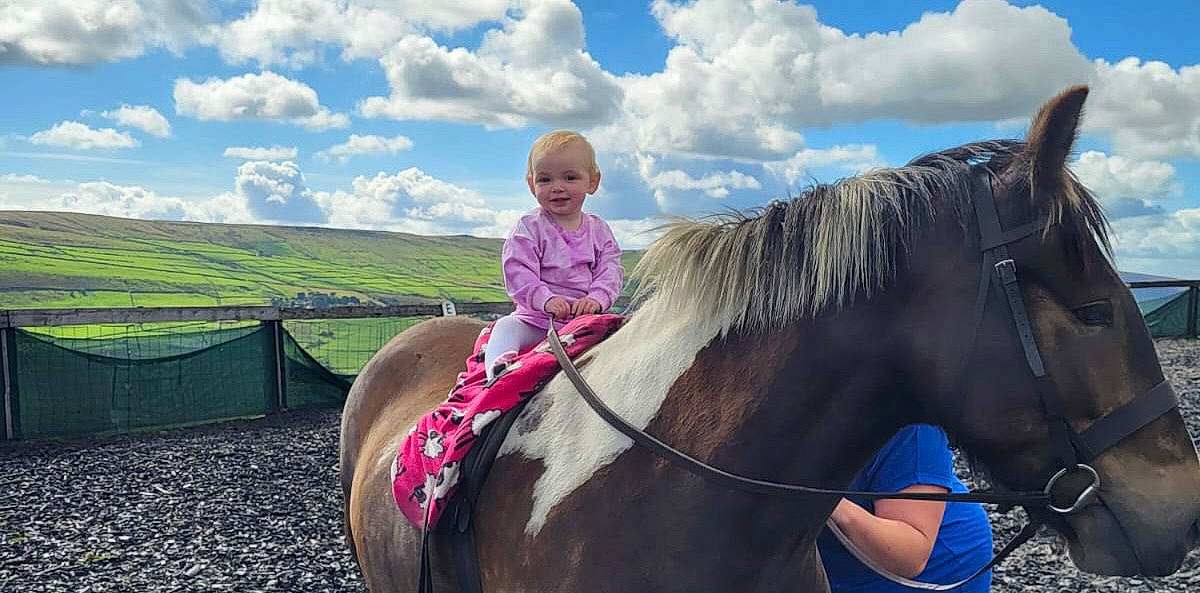 Freya joined the competition — help win amazing prizes! bridle, cloud, equestrian_sport, equestrianism, grassland, happy, horse, horse_supplies, horse_tack, jacket, joy, landscape, leisure, mammal, outerwear, person, rein, saddle, sky, smile