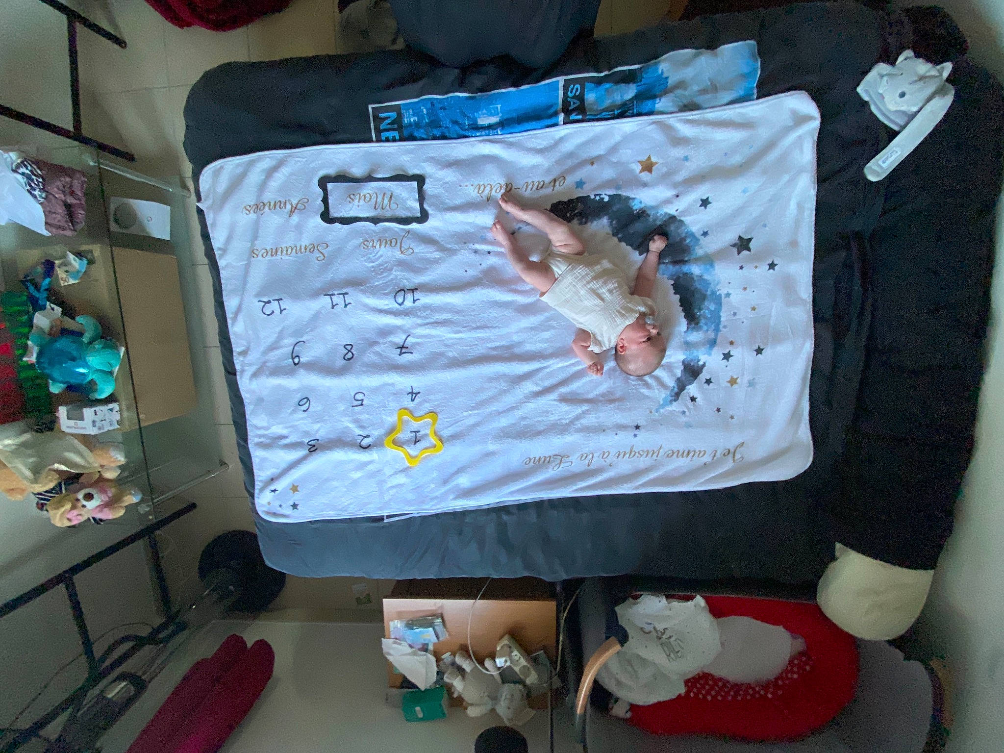 Lexy a rejoint le concours — aidez-le/la à gagner de superbes lots ! art, blue, carmine, craft, creative_arts, fish, linens, pattern, person, plastic, rectangle, room, sleeve, t_shirt, visual_arts