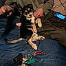black_and_tan, blanket, casual, clothing, couch, dog, domestic_animal, fur, hand, human_interaction, indoor, keys, lying_down, person, pet, puppy, relaxed, resting, smartphone, toy_keychain