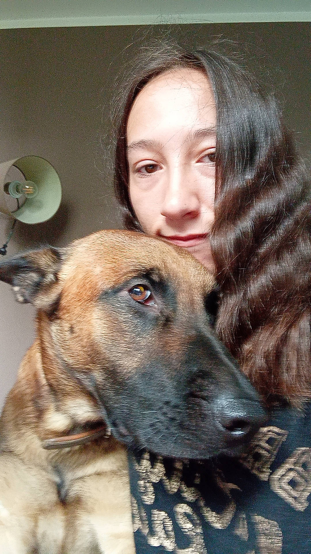 Jax a rejoint le concours — aidez-le/la à gagner de superbes lots ! ancient_dog_breeds, canidae, carnivore, companion_dog, dog, dog_breed, ear, eye, fawn, fur, giant_dog_breed, happy, head, nose, smile, snout, sporting_group, whiskers, working_animal, working_dog