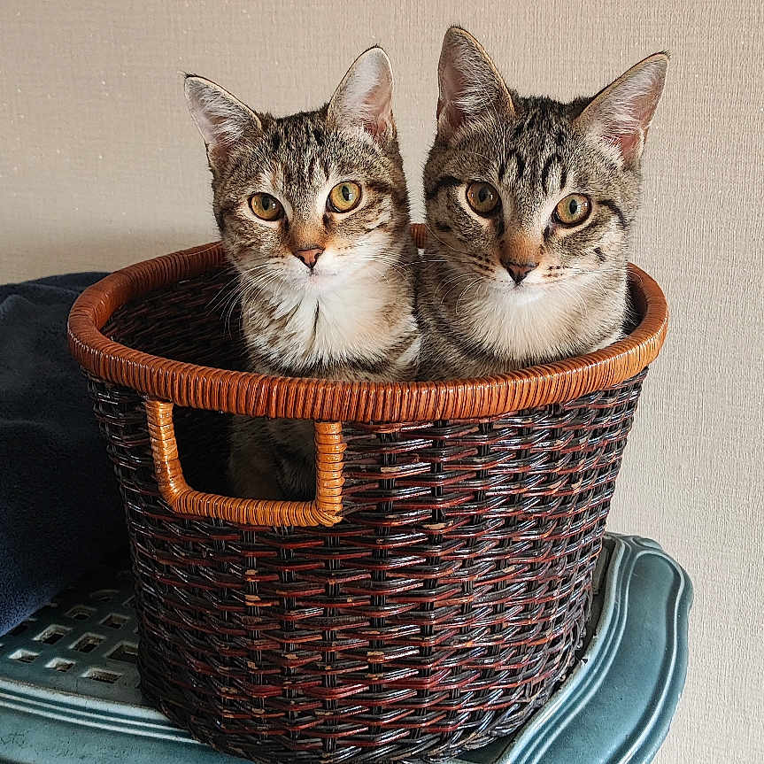 Sienna Et Slate