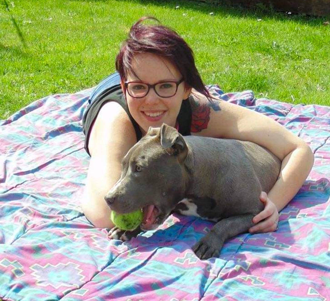 Nikky participe au concours pour gagner de l'argent avec cette photo : american_pit_bull_terrier, canidae, carnivore, companion_dog, dog, dog_breed, fawn, glasses, grass, mammal, non_sporting_group, pit_bull, puppy, sporting_group, vertebrate