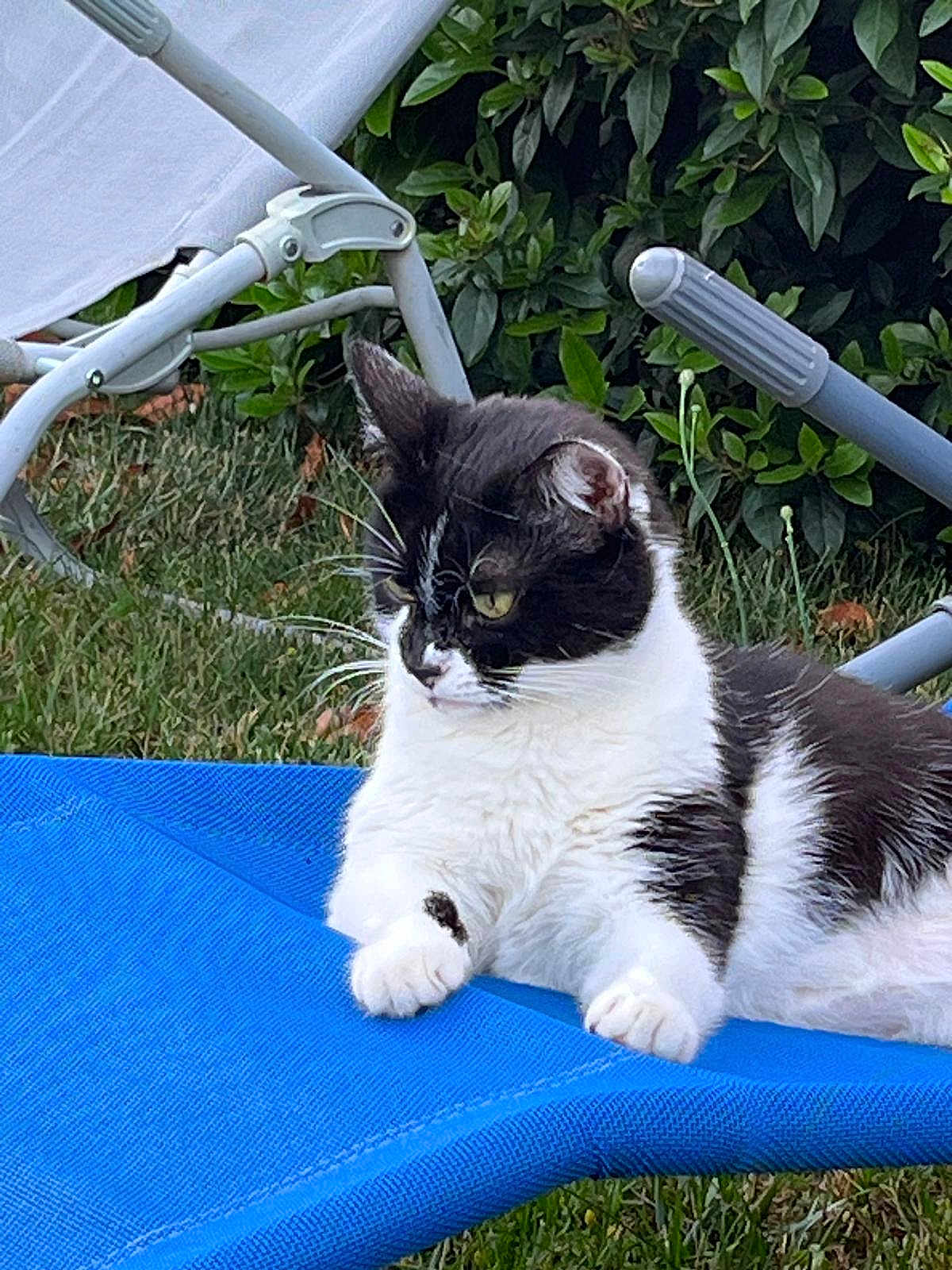 Sally