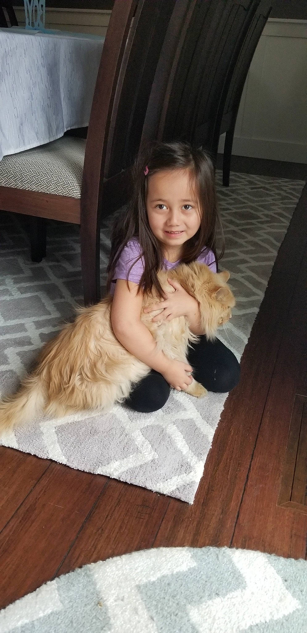 Katelyn Pachia Miller is registered to the contest to win money with this photo: cairn_terrier, canidae, carnivore, cavachon, child, companion_dog, dog, dog_breed, fawn, floor, flooring, fur, hardwood, joy, lhasa_apso, long_hair, person, toddler, wood_flooring