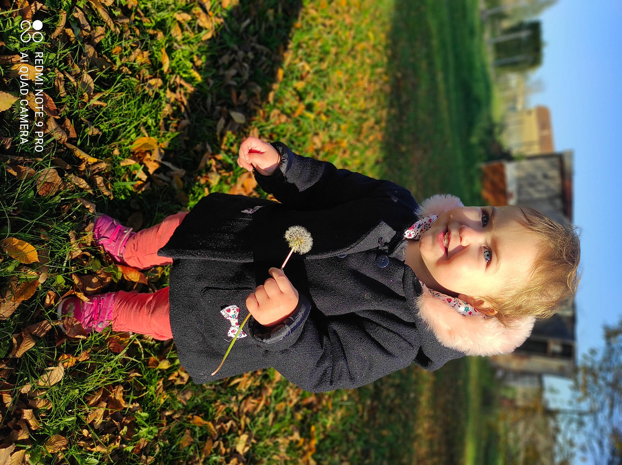 Athéna participe au concours pour gagner de l'argent avec cette photo : autumn, child, deciduous, event, flash_photography, fun, garden, grass, happy, joy, leisure, love, people_in_nature, person, plant, portrait_photography, sitting, sky, smile, tree