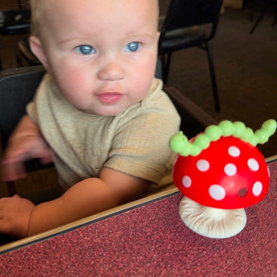 Slade joined the competition — help win amazing prizes! toddler, child, toy, mushroom, table, high_chair, blue_eyes, indoor, restaurant, people, casual, furniture, curious, baby, person, seat, clothing, red, green, polka_dot