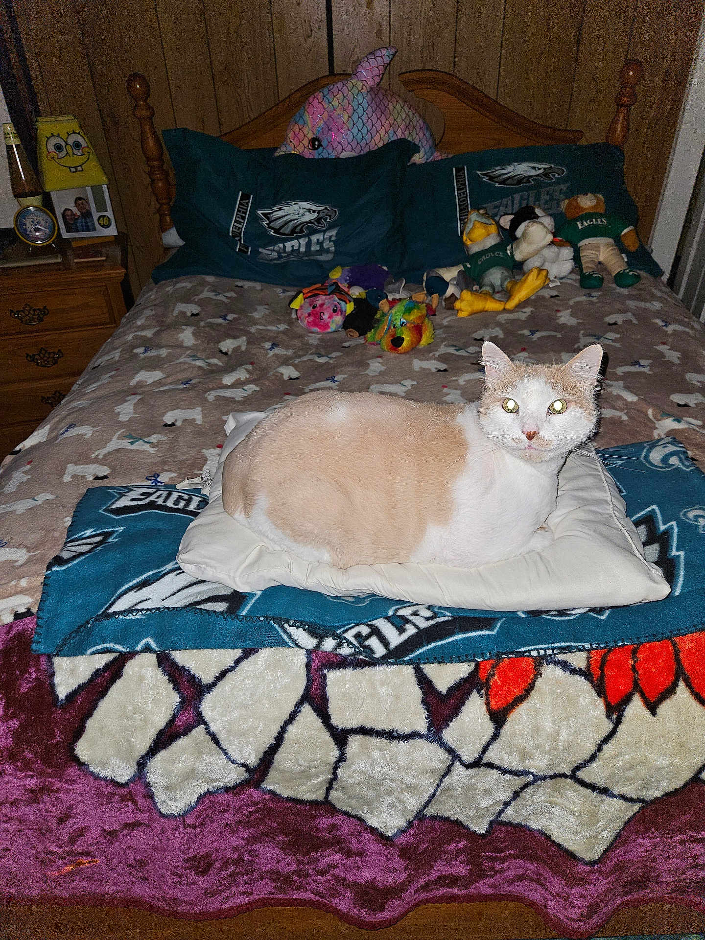 Garfield
