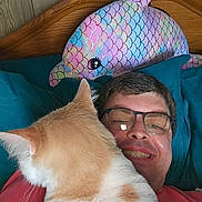 Garfield is registered to the contest to win money with this photo: man, glasses, cat, cuddling, smile, plushie, dolphin, bed, pillow, wood_paneling, headboard, indoor, casual, relaxed, closeup, person, pet, feline, comfort, home