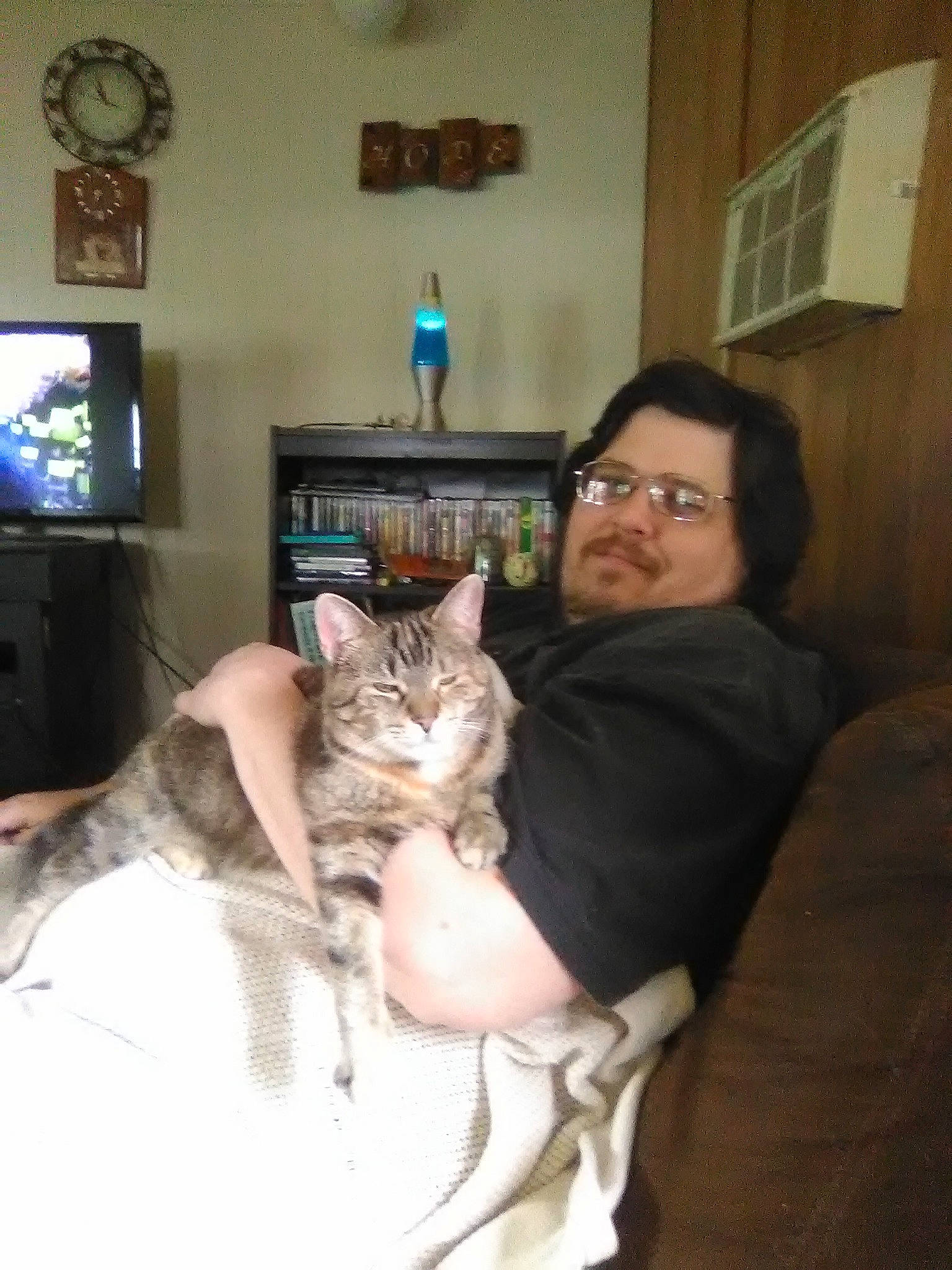 Whitney joined the competition — help win amazing prizes! american_curl, american_shorthair, asian, carnivore, cat, domestic_short_haired_cat, ear, european_shorthair, felidae, fur, mammal, ojos_azules, person, small_to_medium_sized_cats, whiskers