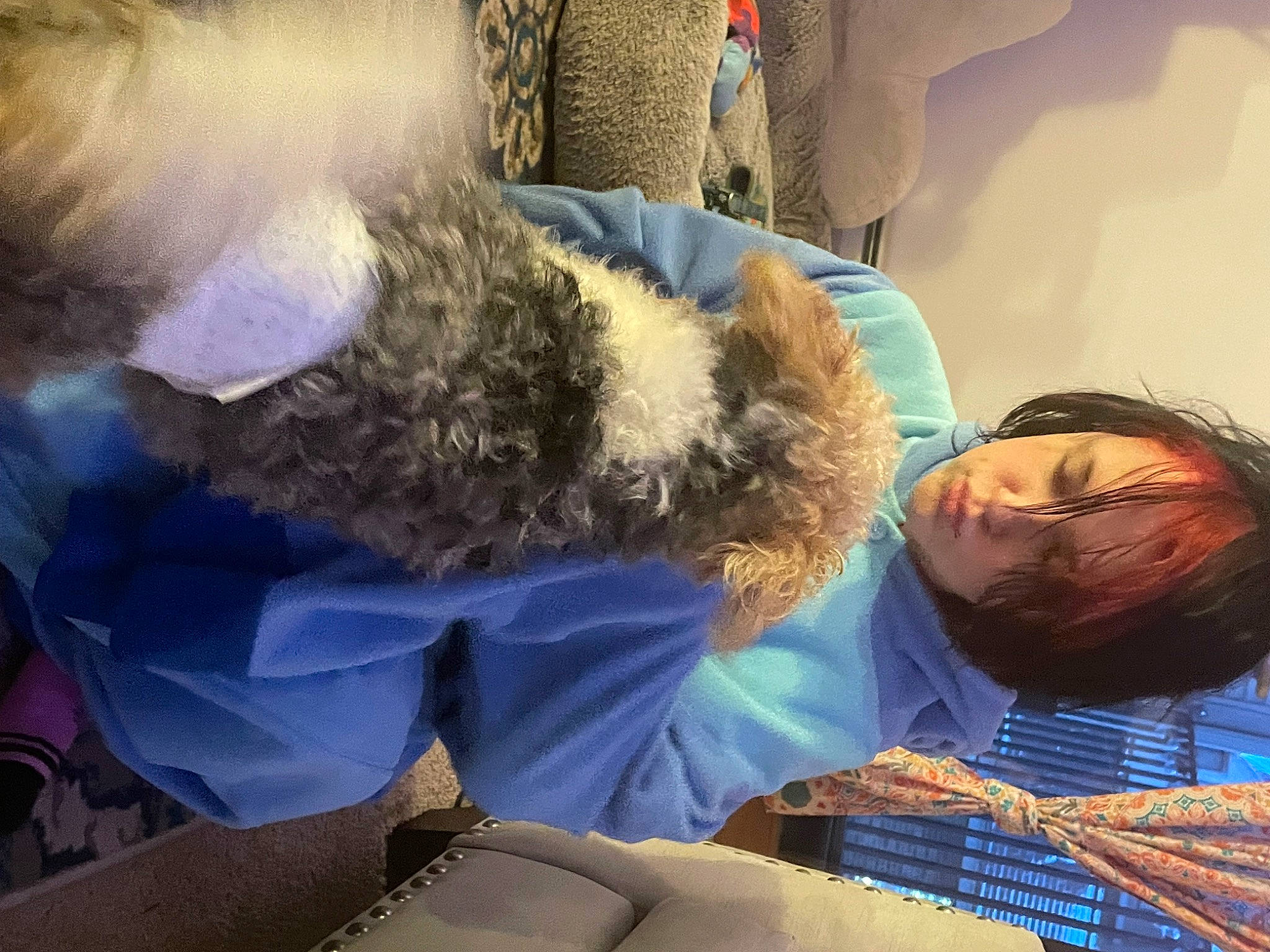 Oscar is registered to the contest to win money with this photo: beard, comfort, companion_dog, eyewear, facial_hair, fun, fur, fur_clothing, nap, natural_material, passenger, sitting, sky, travel, winter