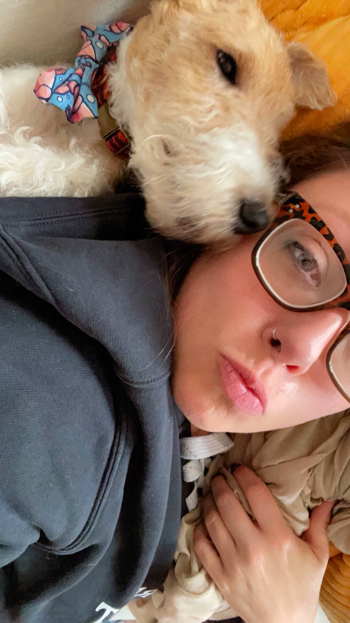 Oscar is registered to the contest to win money with this photo: carnivore, companion_dog, dog, dog_breed, ear, eyelash, eyewear, fawn, fur, gesture, glasses, happy, nail, nose, selfie, skin, sunglasses, vision_care, white, working_animal