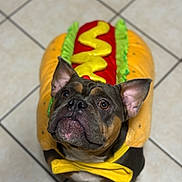 Pickles joined the competition — help win amazing prizes! dog, costume, hot_dog, yellow_bow_tie, pet, brown_dog, black_dog, indoor, tiled_floor, cute, looking_up, animal, funny, adorable, portrait, small_dog, ears_up, floor, playful, pet_clothing