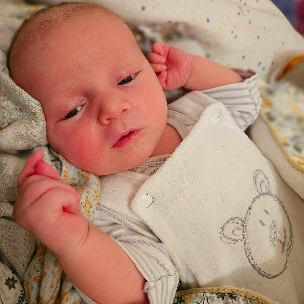 Heliordore participe au concours pour gagner de l'argent avec cette photo : baby, bed, bedroom, blanket, bodypart, cushion, face, finger, furniture, hand, head, homedecor, indoors, newborn, person, photography, portrait, quilt, room, sleeping