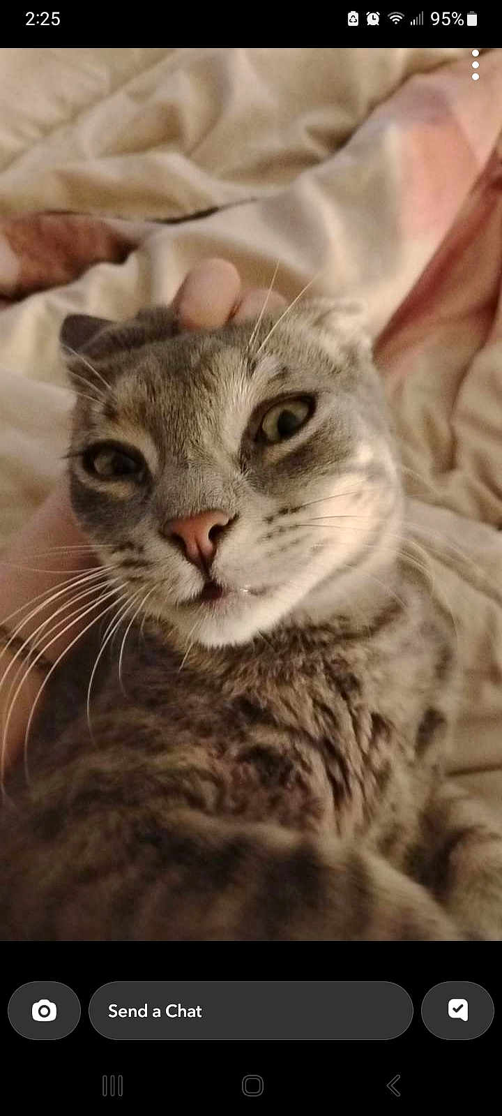 King Milo