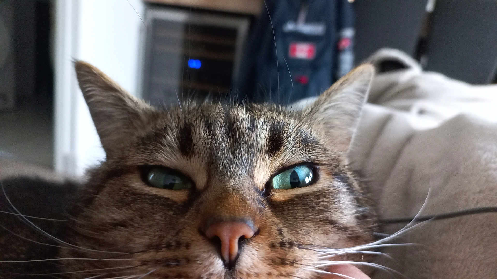 Lola