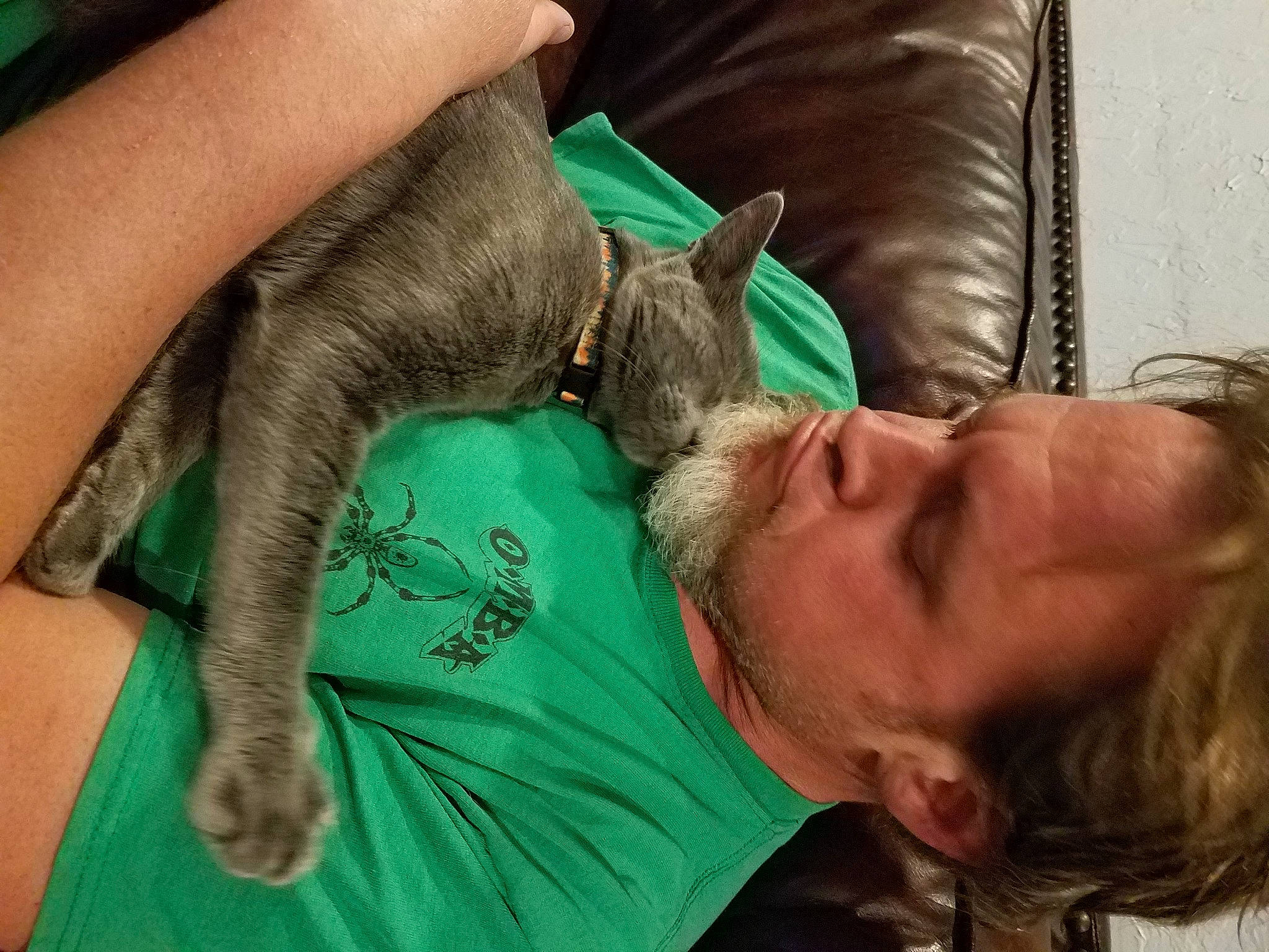 Tom is registered to the contest to win money with this photo: comfort, ear, elbow, eyelash, felidae, gesture, green, human_leg, joint, lap, mammal, medical_procedure, nail, neck, service, skin, small_to_medium_sized_cats, vertebrate, veterinarian, wrist