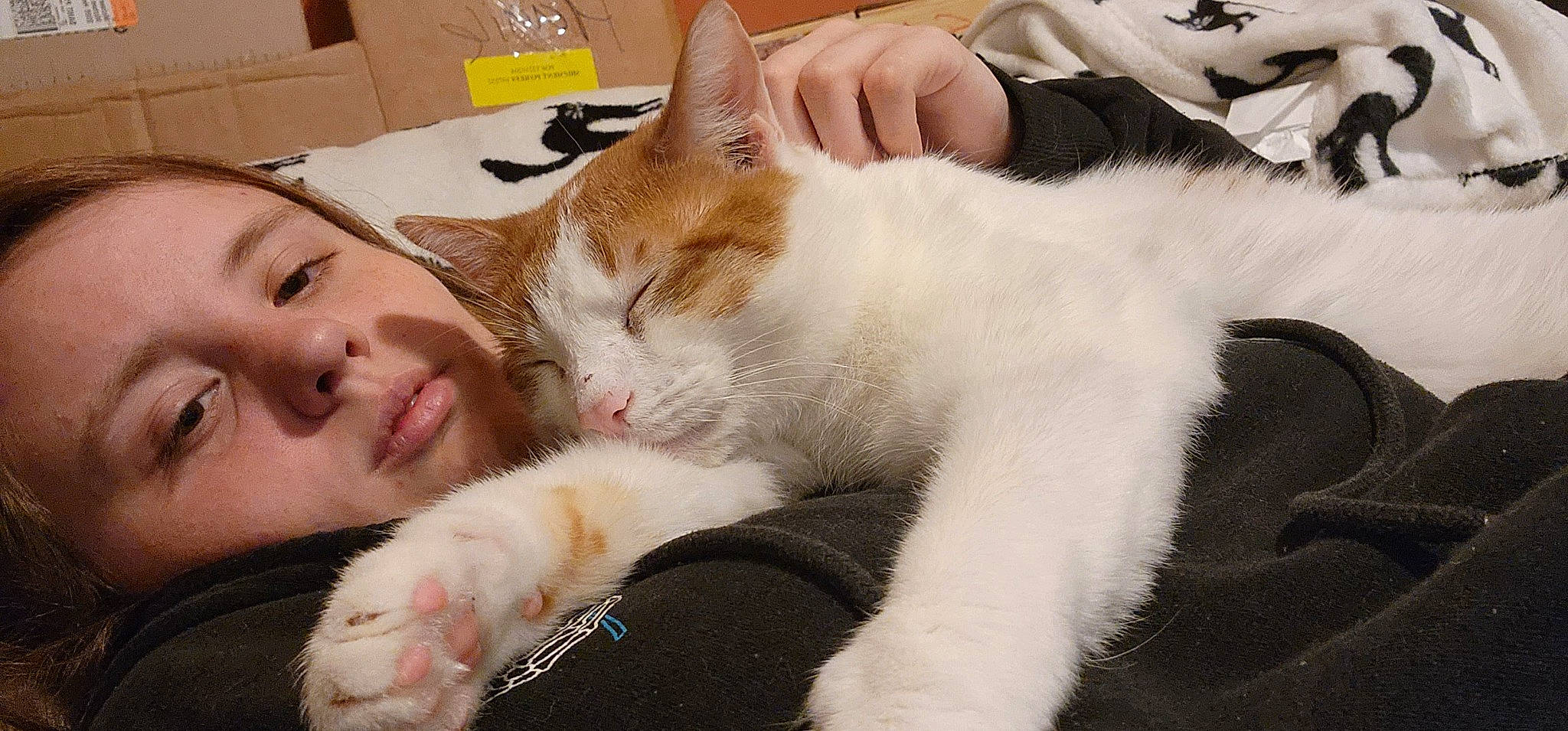 Milo is registered to the contest to win money with this photo: carnivore, cat, claw, comfort, domestic_short_haired_cat, ear, fawn, felidae, fur, lap, nail, nap, paw, small_to_medium_sized_cats, smile, tail, whiskers