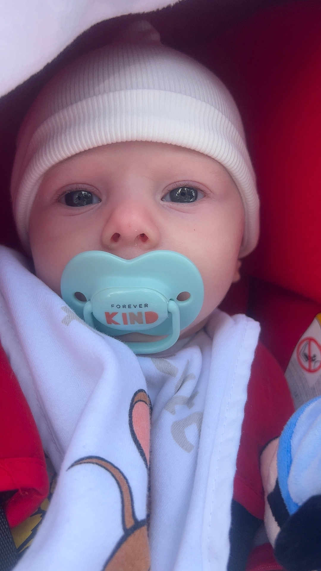 Axel participe au concours pour gagner de l'argent avec cette photo : baby, pacifier, hat, blanket, clothing, red, white, face, infant, closeup, blue_eyes, knit_hat, cozy, child, baby_bottle, soft, portrait, car_seat, newborn, cute