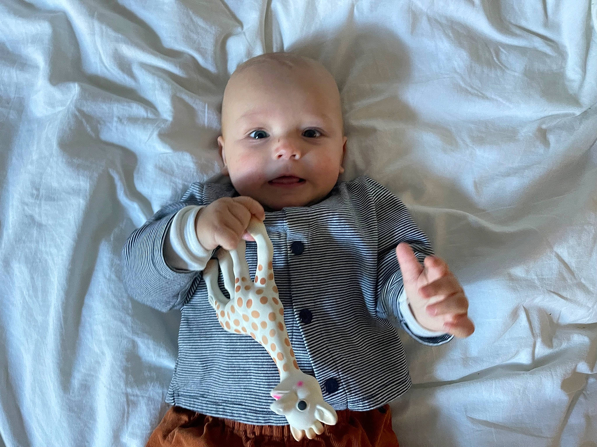 Lucien a rejoint le concours — aidez-le/la à gagner de superbes lots ! baby, baby_products, baby_toddler_clothing, bedding, button, child, collar, comfort, dress_shirt, iris, linens, pattern, person, plaid, room, sitting, sleeve, t_shirt, textile, toddler