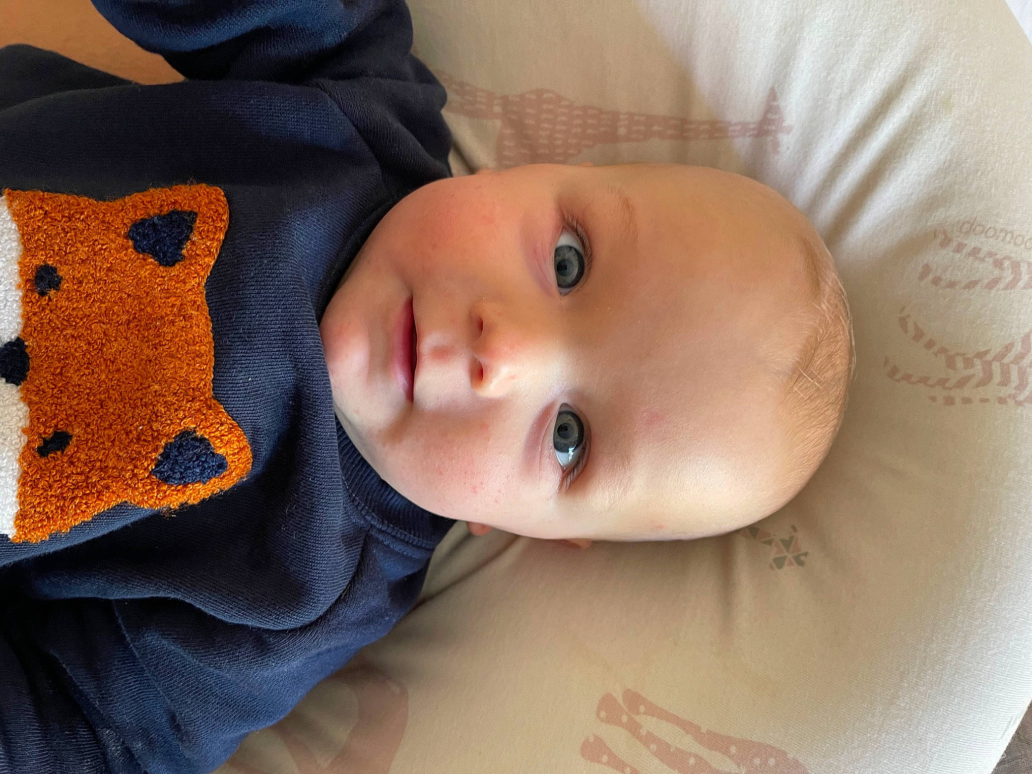 Lucien participe au concours pour gagner de l'argent avec cette photo : baby, baby_toddler_clothing, cheek, child, chin, comfort, electric_blue, eye, eyelash, happy, head, lip, nose, pattern, person, portrait_photography, skin, sleeve, smile, toddler