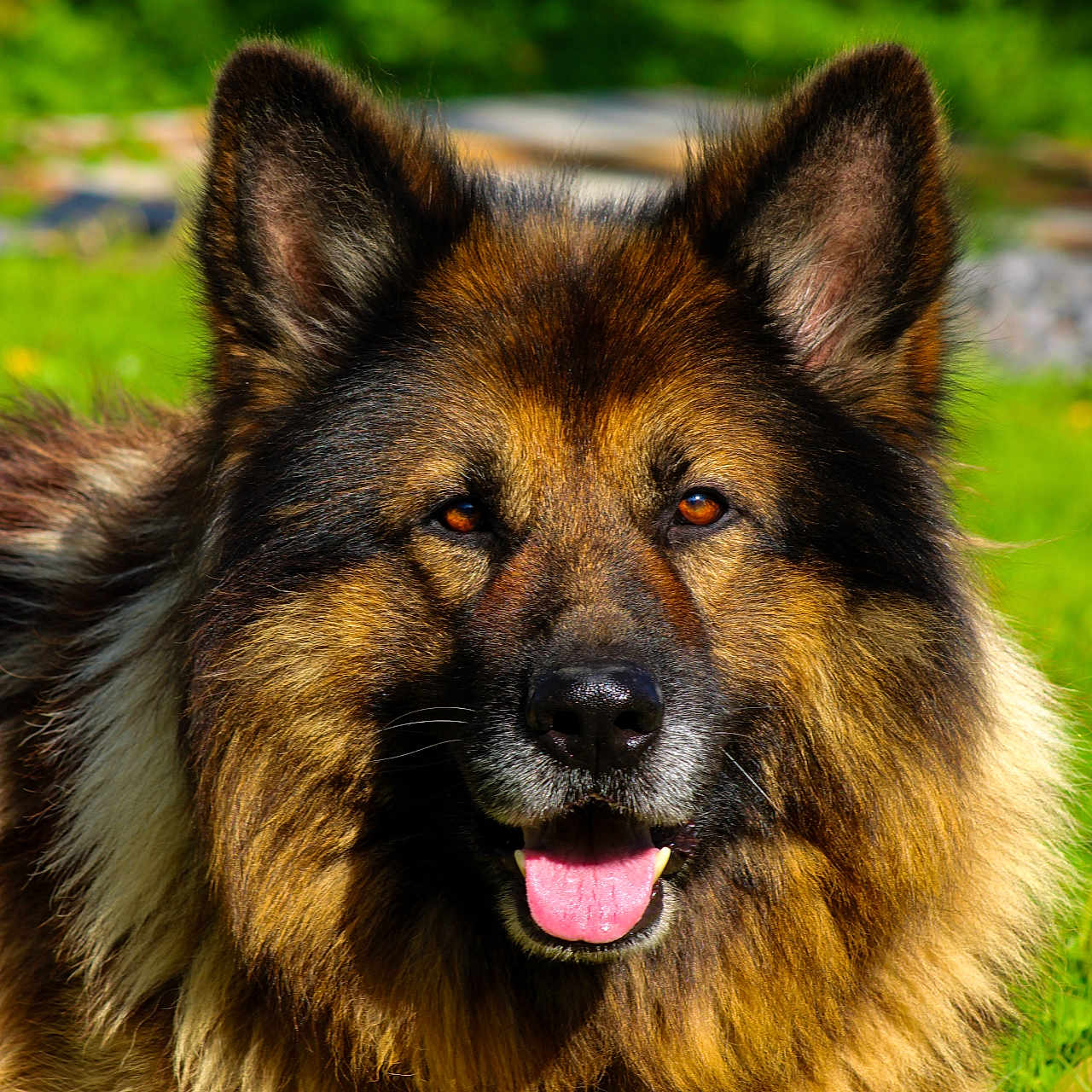 Axel