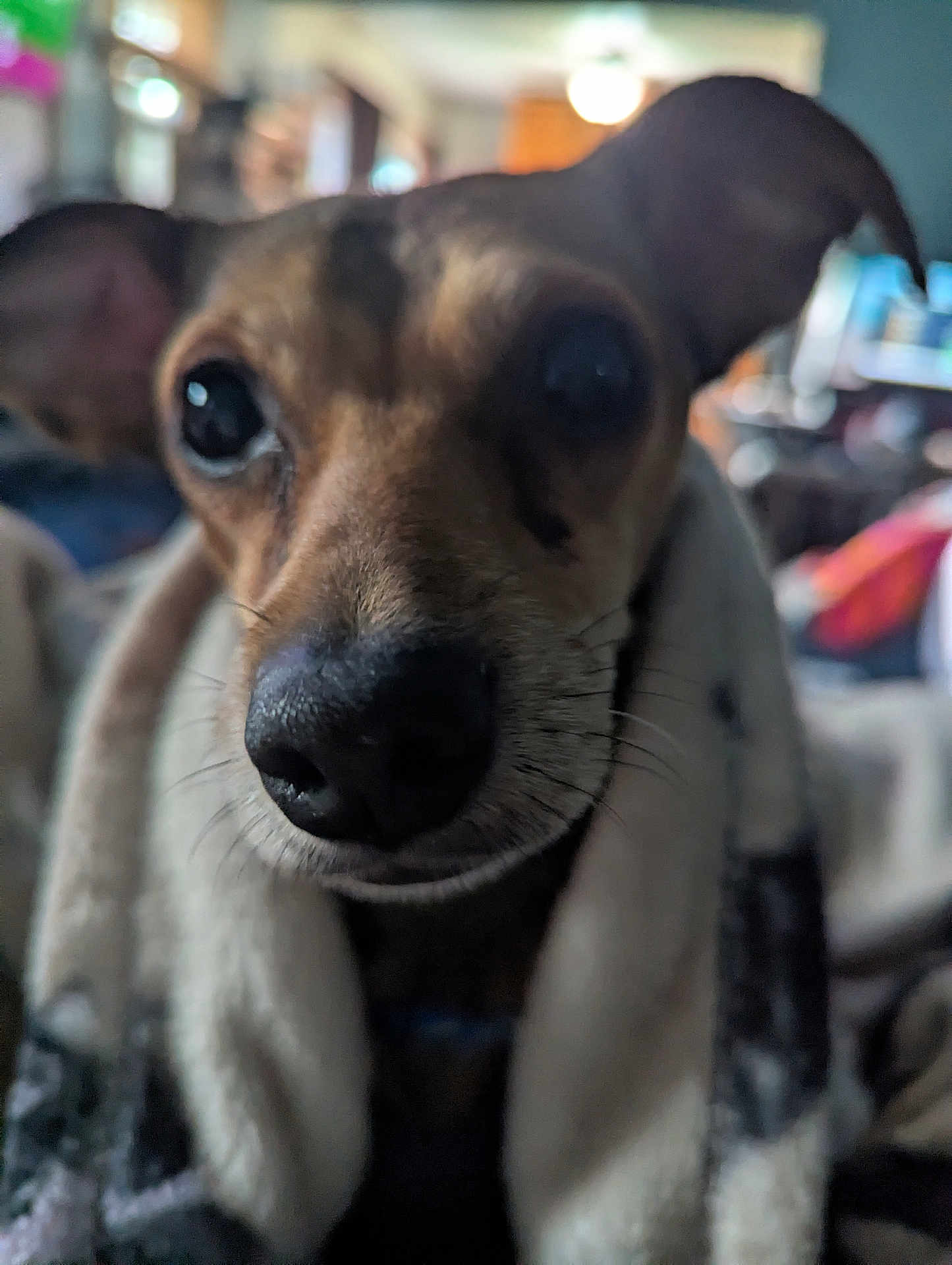 Ralph