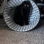cat, black_cat, pet, animal, indoor, laundry_basket, striped, curious_eyes, cozy, carpet, home, feline, fur, cute, sitting, shadow, hiding, container, soft_lighting, quiet