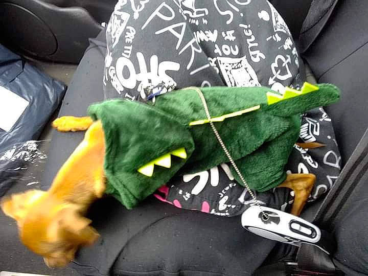 Randy a rejoint le concours — aidez-le/la à gagner de superbes lots ! auto_part, fictional_character