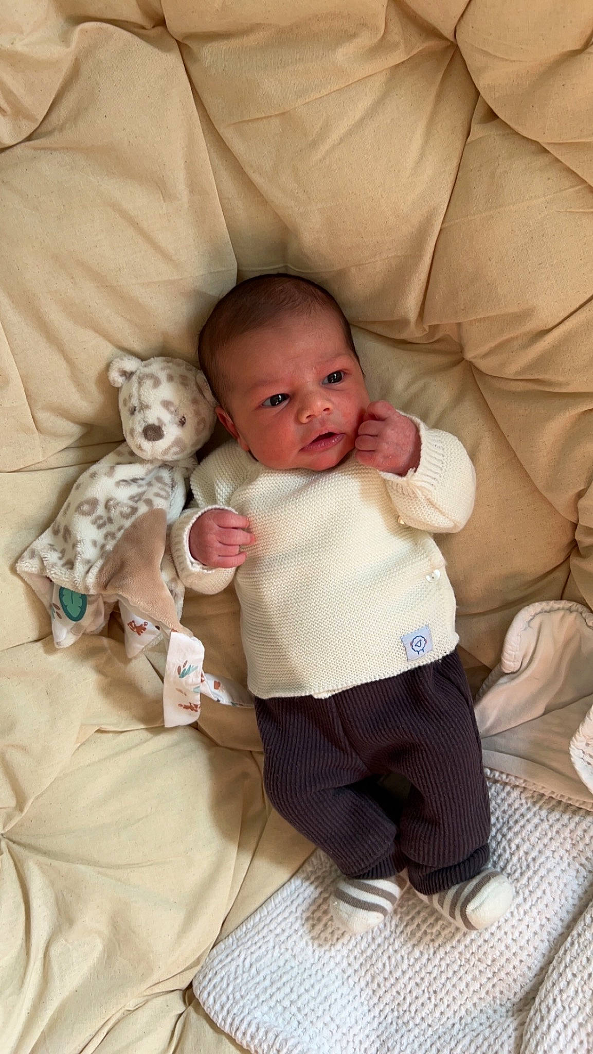 Ilyès a rejoint le concours — aidez-le/la à gagner de superbes lots ! abdomen, baby, baby_products, baby_toddler_clothing, bedding, child, comfort, eye, foot, fur, happy, head, linens, pattern, person, room, sitting, skin, sock, toddler