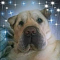 Terrie M.