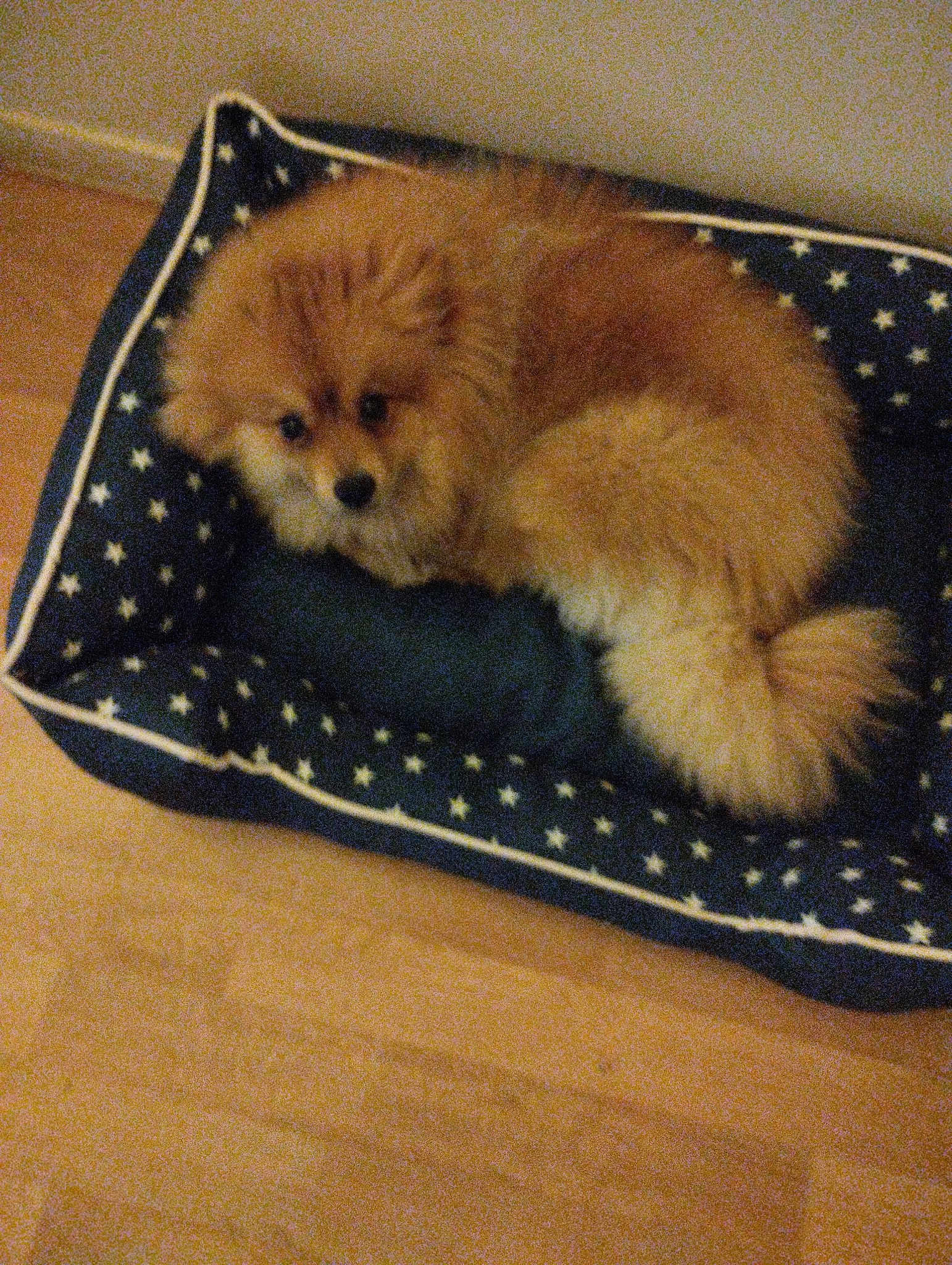 Marley