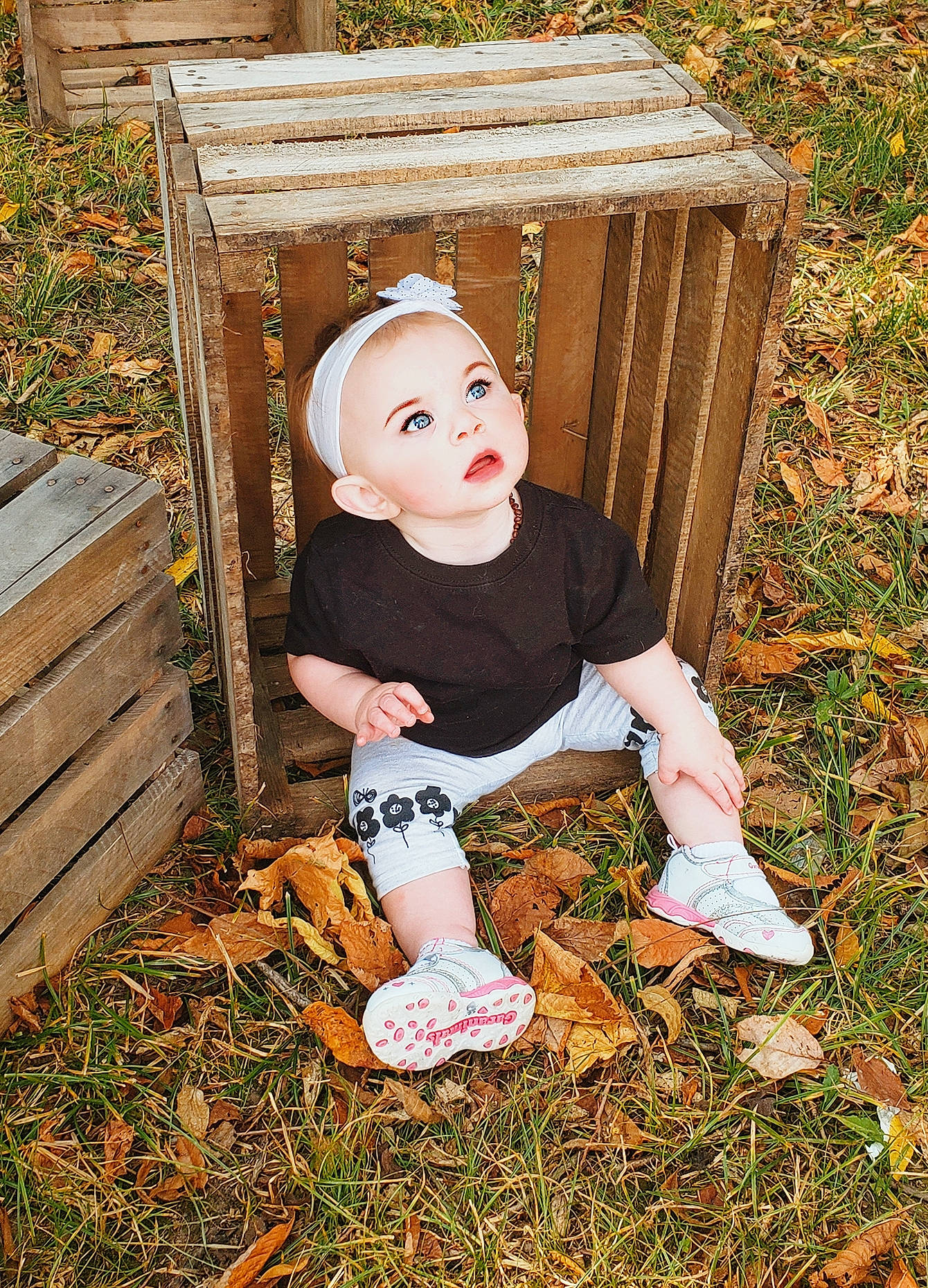 Izayah joined the competition — help win amazing prizes! autumn, child, grass, leaf, person, sitting, surprise, toddler, wood