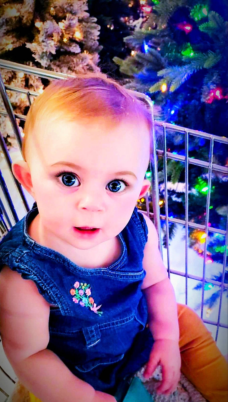 Izayah joined the competition — help win amazing prizes! baby, beauty, blue, cheek, child, child_model, eye, face, fun, head, iris, person, photography, play, portrait_photography, smile, surprise, toddler