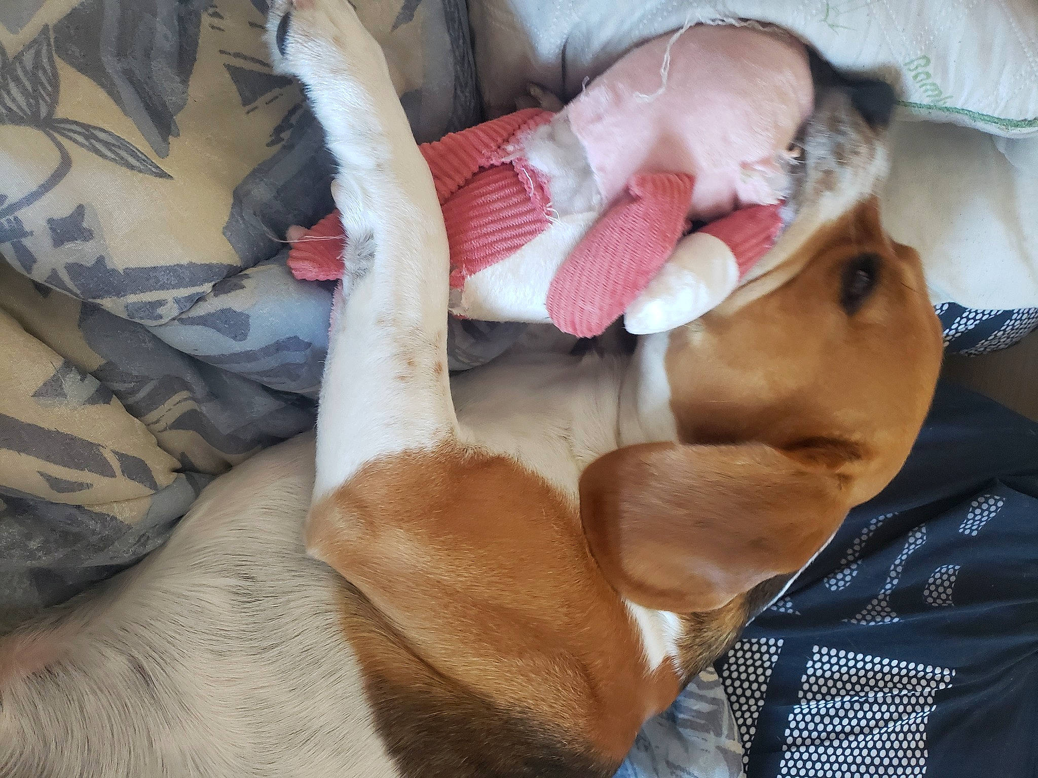 Timmy a rejoint le concours — aidez-le/la à gagner de superbes lots ! abdomen, baby, baby_products, canidae, chest, child, comfort, flesh, knee, linens, medical_procedure, nail, nap, patient, peach, room, service, sleep, thumb, toddler