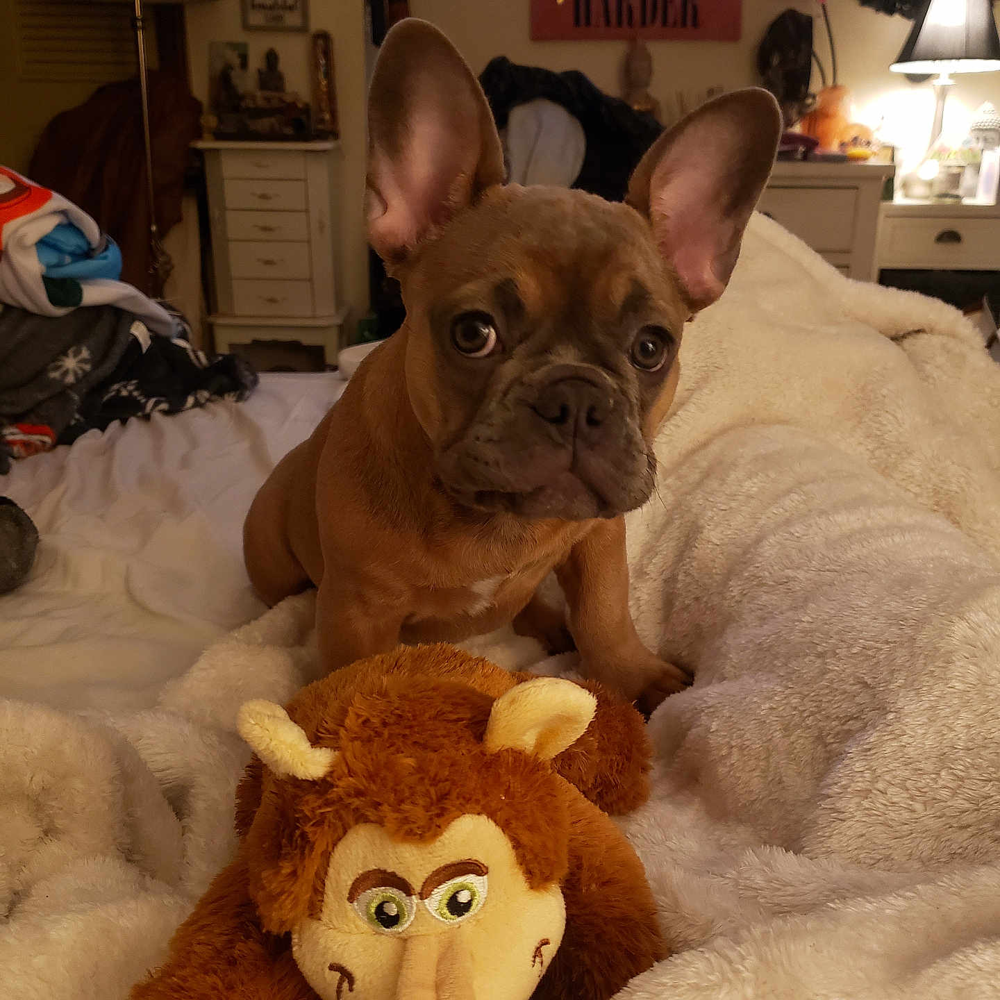 Nala