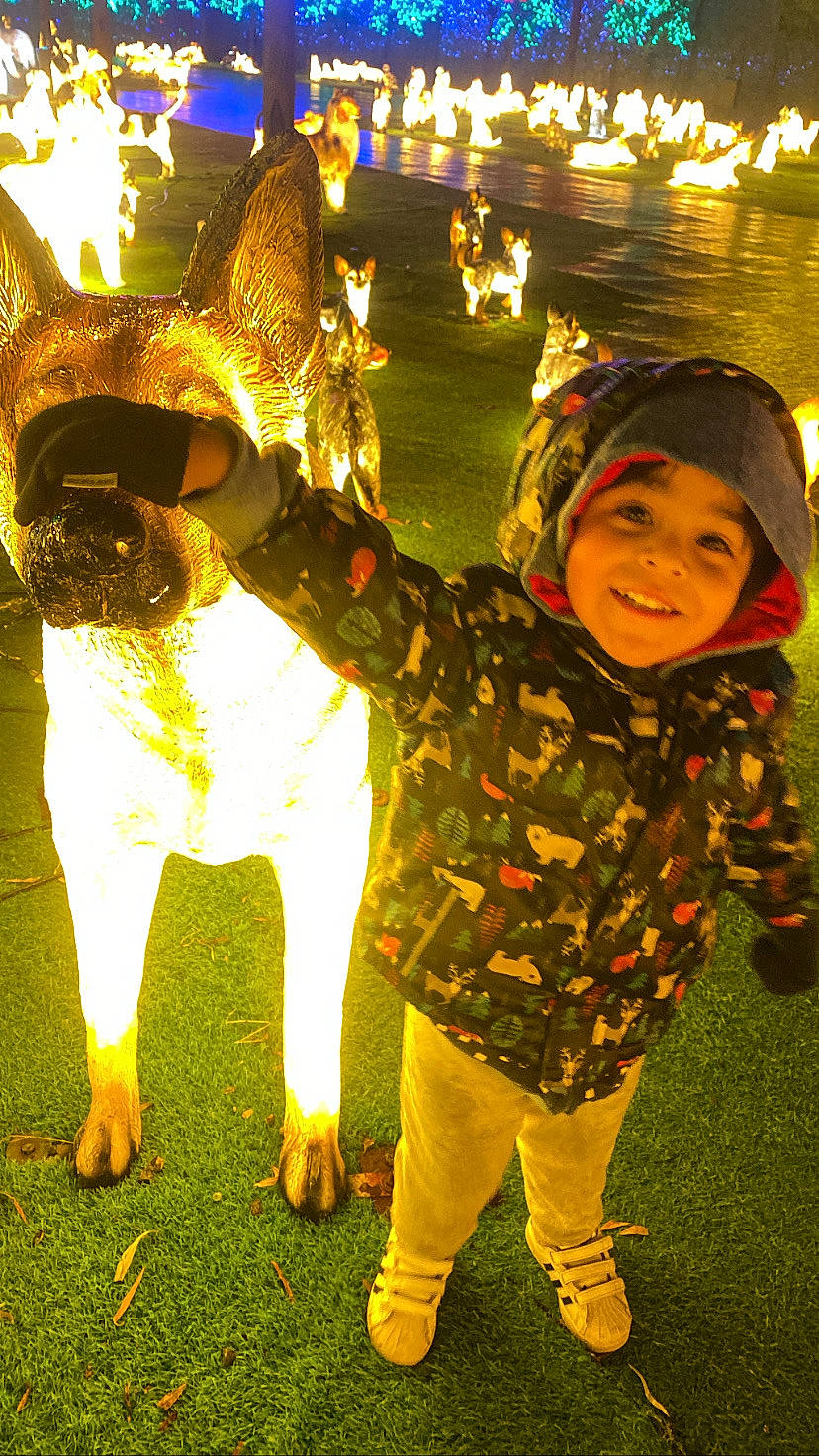 Angel joined the competition — help win amazing prizes! child, cool, event, fawn, flash_photography, fun, grass, happy, headwear, holiday, joy, leisure, light, lighting, night, people_in_nature, person, plant, smile, standing