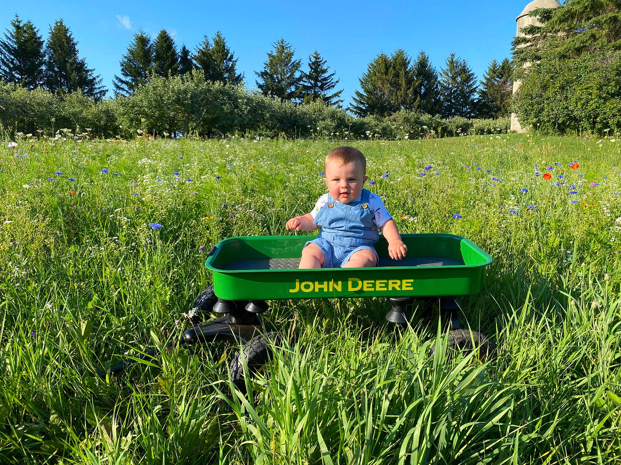 Ralph is registered to the contest to win money with this photo: flower, grass, grassland, groundcover, happy, landscape, leaf, leisure, meadow, natural_landscape, people_in_nature, person, plant, plant_community, prairie, rural_area, sky, t_shirt, terrestrial_plant, toddler