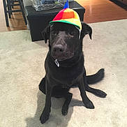 Charlie is registered to the contest to win money with this photo: