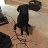 Charlie is registered to the contest to win money with this photo: