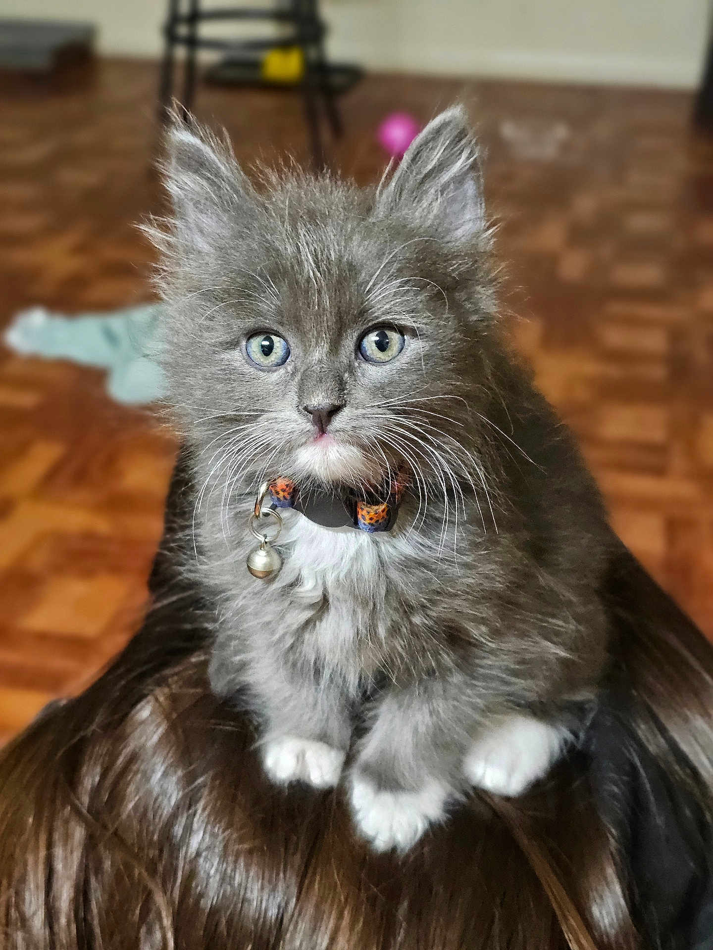 Ojitos