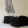 animal, black_cat, cat, curious, decor, domestic, ears, feline, fur, home, indoor, pet, quiet, relaxed, resting, sculpture, still_life, table, whiskers, white_surface