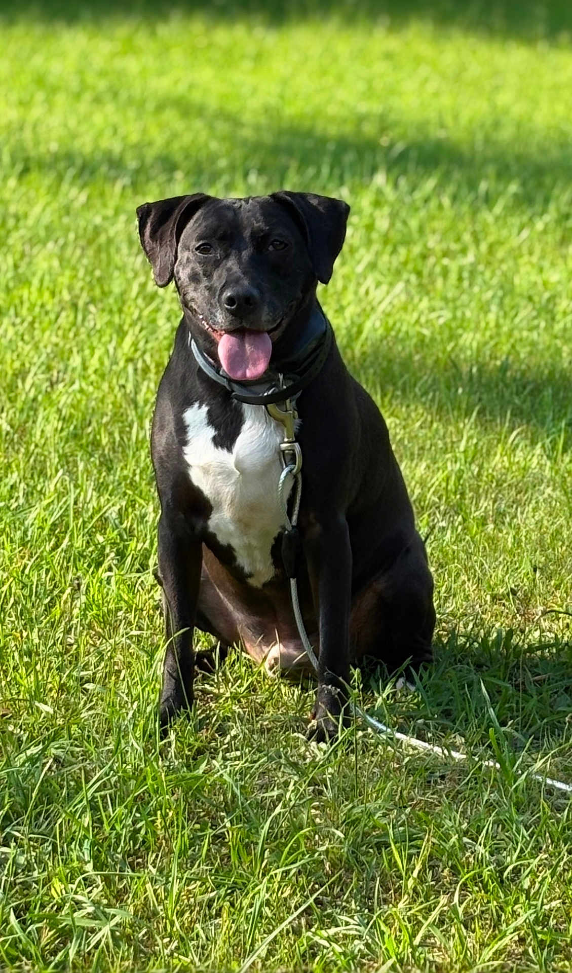 Zeus