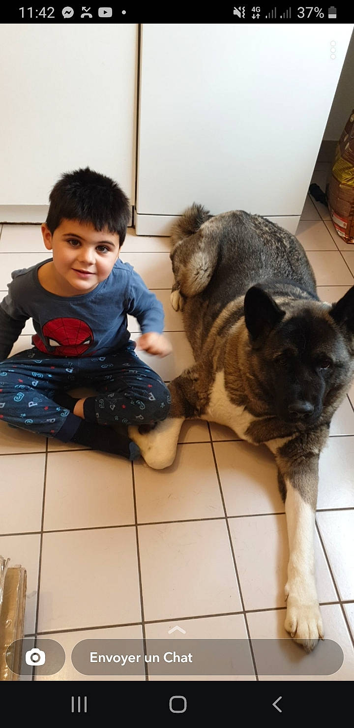 Nolan a rejoint le concours — aidez-le/la à gagner de superbes lots ! carnivore, comfort, companion_dog, dog, dog_breed, domestic_short_haired_cat, fawn, felidae, floor, flooring, fur, happy, joy, person, skin, small_to_medium_sized_cats, smile, tail, toddler, vertebrate