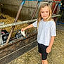 child, girl, blonde_hair, white_shirt, black_shorts, baby_goat, goat, petting, barn, straw, fence, animal, farm, outdoor, smile, footwear, casual_clothing, daylight, young, nature