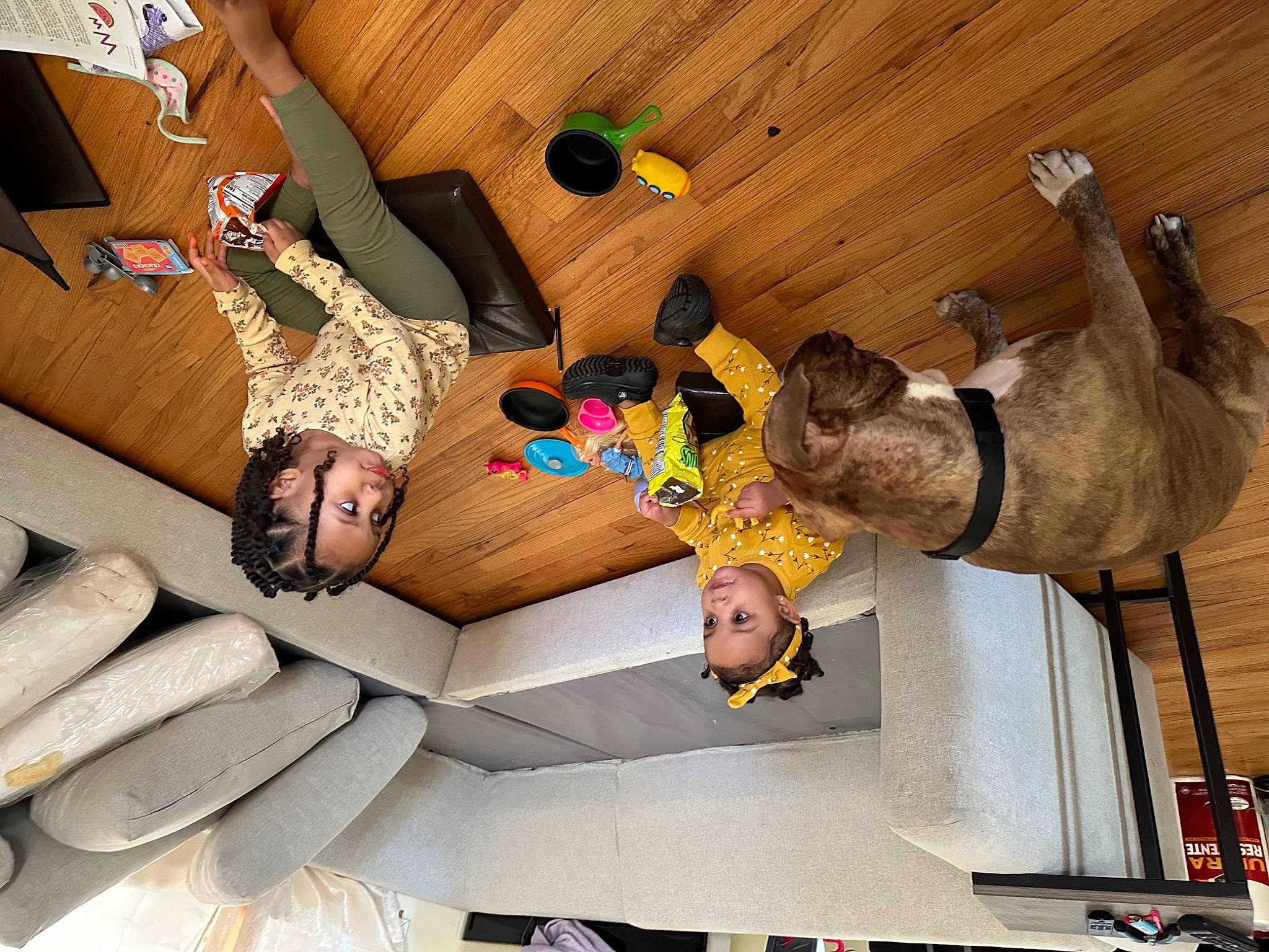 Alyssa joined the competition — help win amazing prizes! ceiling, child, comfort, couch, floor, flooring, fun, happy, hardwood, interior_design, leisure, linens, living_room, person, recreation, room, suit, tie, toddler, wood