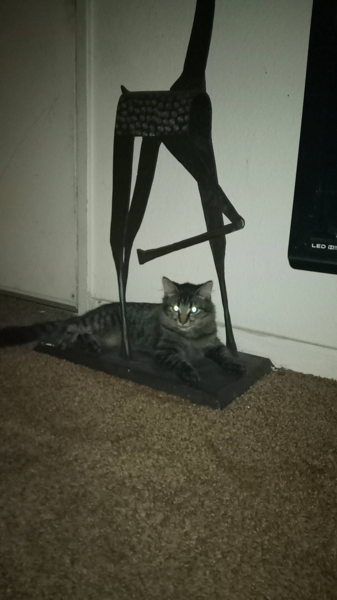 Troubles is registered to the contest to win money with this photo: art, carnivore, cat, chair, domestic_short_haired_cat, felidae, floor, flooring, fur, grey, hardwood, monochrome, monochrome_photography, musical_instrument, room, shadow, small_to_medium_sized_cats, tail, whiskers, wood