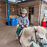Alexandre participe au concours pour gagner de l'argent avec cette photo : child, helmet, pony, animal, riding, jacket, marvel, brick_wall, recycling_bins, patio, outdoor, footwear, stool, toy, person, smiling, small_animal, building, window, door