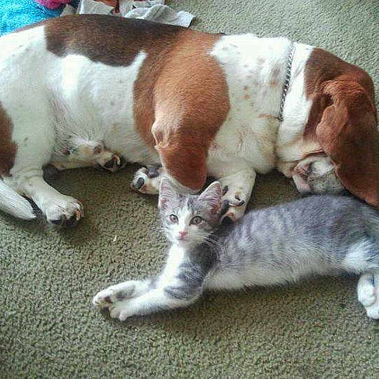 Stormy is registered to the contest to win money with this photo: